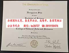 �������ɻ���ѧ��ƾ����