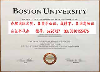 ������ʿ�ٴ�ѧ��ƾ