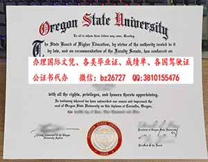 �������ո�������ѧ��ҵ֤��ƾ