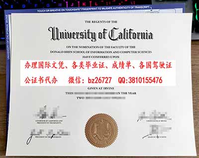 �������ݴ�ѧŷ�ķ�У��ҵ֤��ƾ