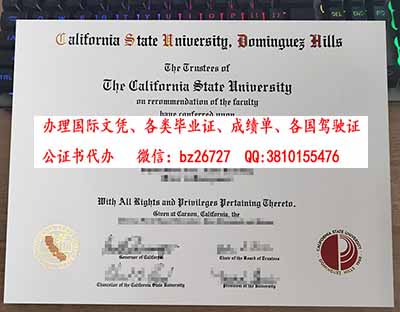 ��������������ѧ������˹ɽ��У��ҵ֤��ƾ