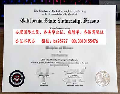 ��������������ѧ����˹ŵ��У��ҵ֤��ƾ