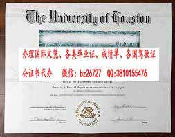 ������˹�ٴ�ѧ��ҵ֤��ƾ