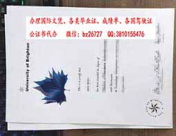 Ӣ�������ٴ�ѧ��ҵ֤��ƾ