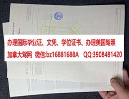 ��۴�ѧ�ɼ���