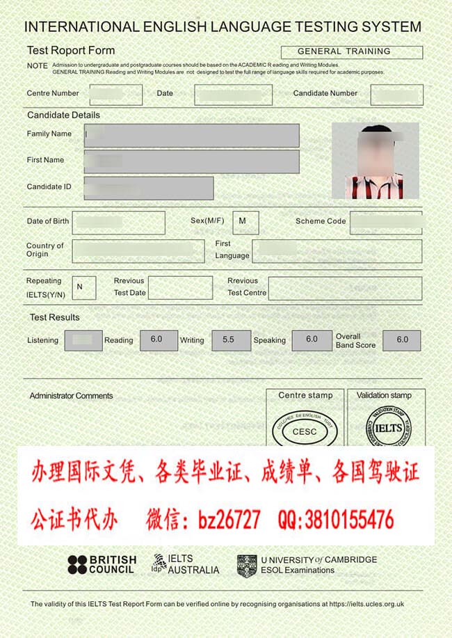 ��˼�ɼ���