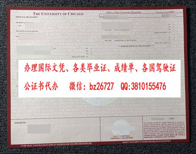 ֥�Ӹ��ѧ�ɼ���