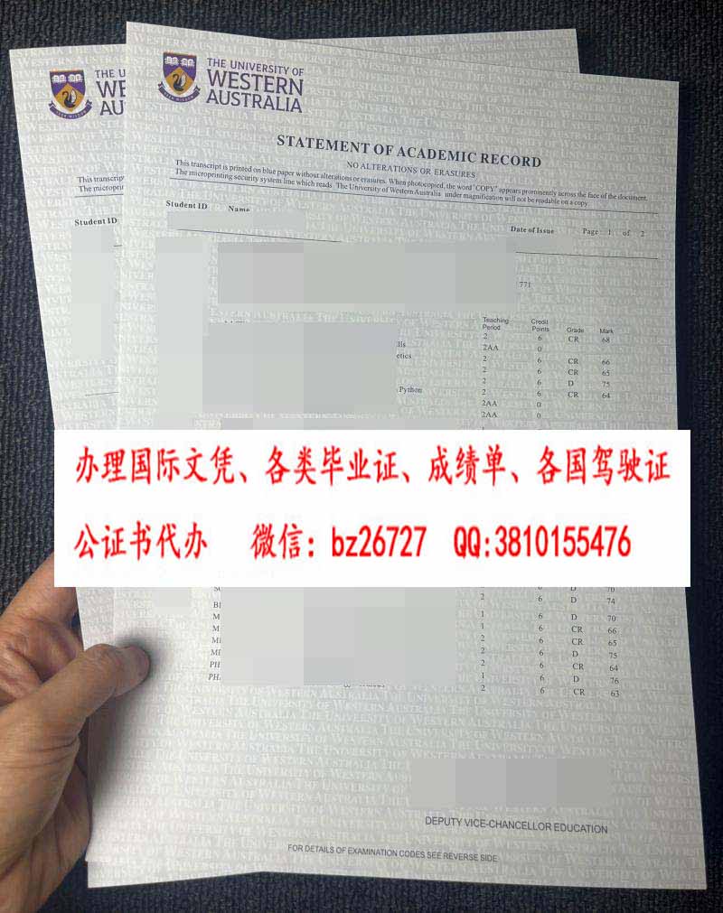 ���Ĵ�ѧ�ɼ���