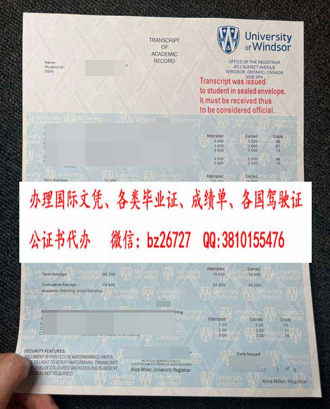 ��ɯ��ѧ�ɼ���